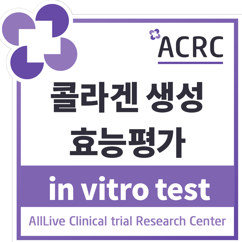 콜라겐 생성 효능평가